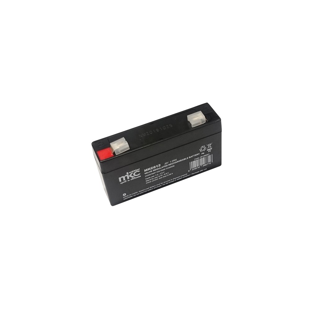 Provabatterie tester universale per batterie AA, AAA, C, D, 9V e batterie a  bottone Melchioni 493933102: Coppolav.it